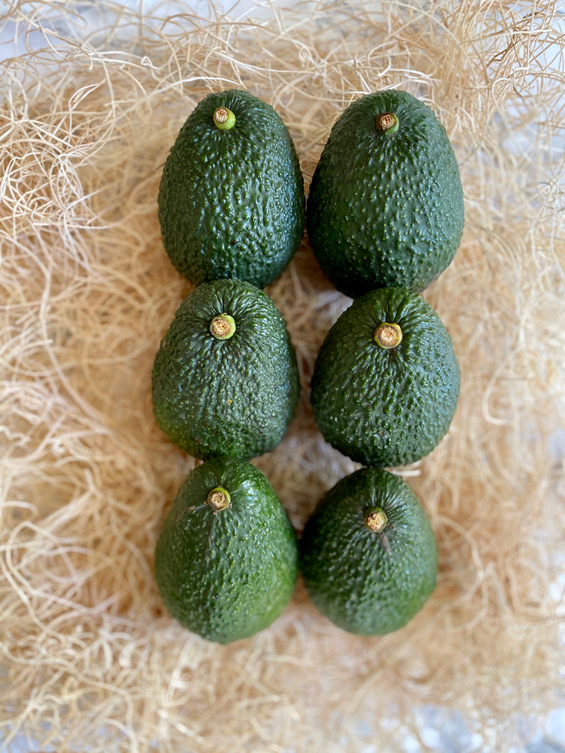 Hass Avocados / 6-Pack