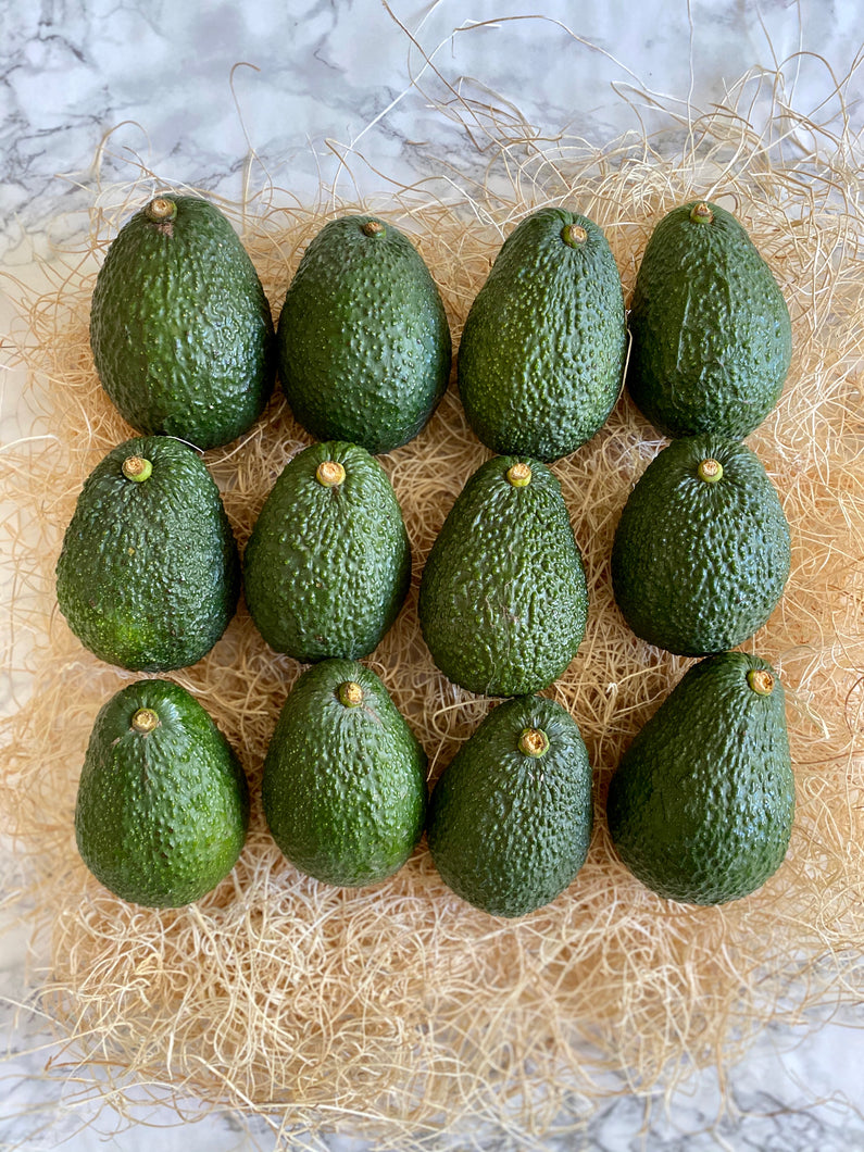 Hass Avocados / 12-Pack